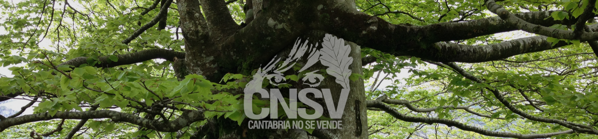 CANTABRIA NO SE VENDE
